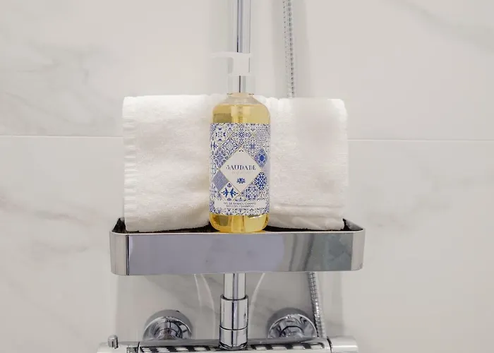 Plaza-charming 4* 波尔图